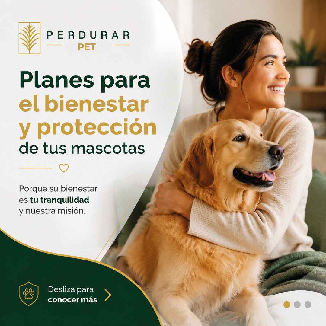 🐾 Perdurar Pet