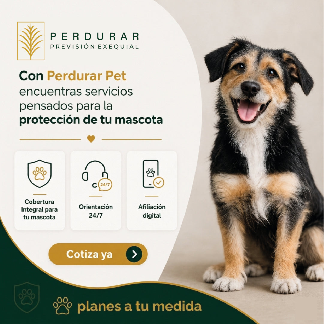 🐾 Perdurar Pet