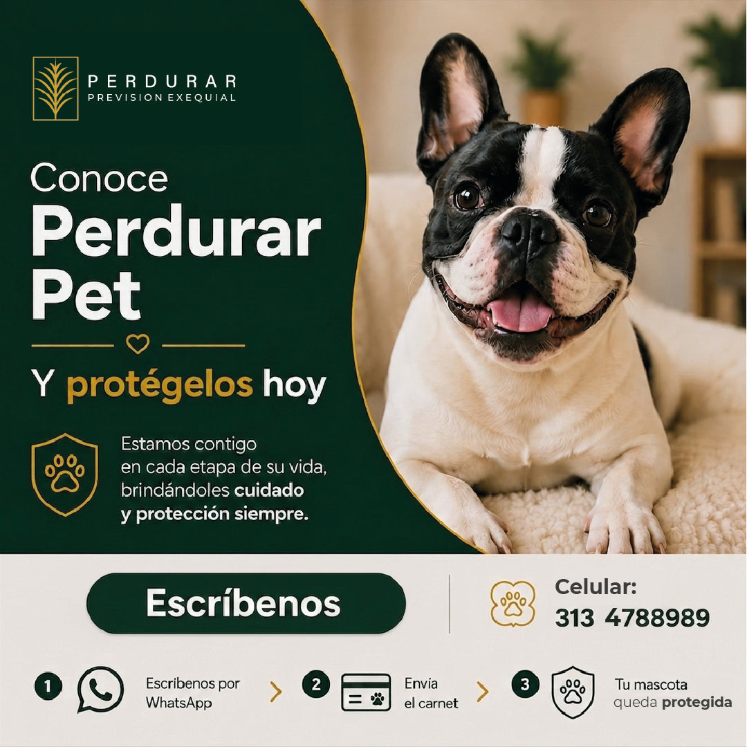 🐾 Perdurar Pet